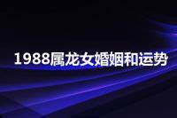 1988 属